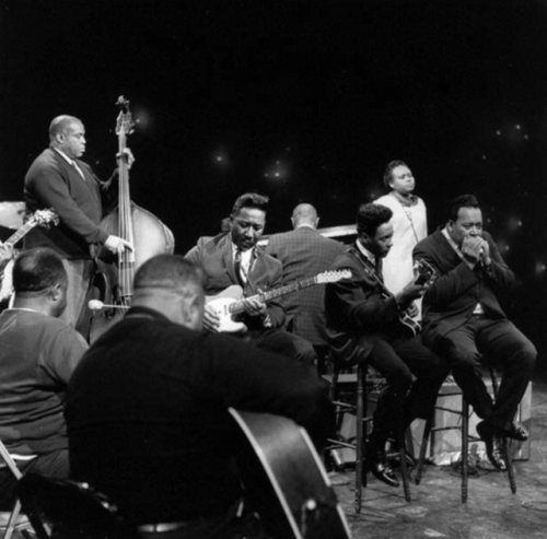 blowmyblues:L-R Big Joe Williams, Bukka White, Willie Dixon, Muddy Waters, Sunnyland Slim, James Madison, Mabel Hillary, James Cotton - 1966