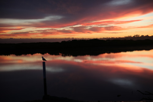 lightcityphotography:  textures on the water by lightcityphotography