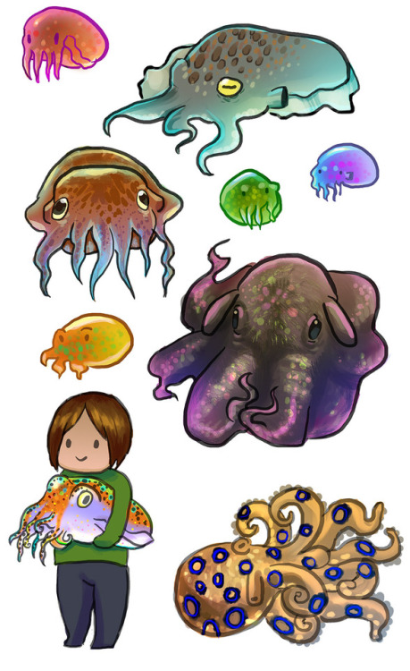 indagold-orchid:Some lovely cephalopods 