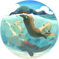 sunneflyer:  let’s swim with friends!
