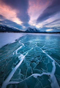 cjwho:  Ice Bubbles Create Picturesque Scene at the Foot of the Rocky Mountains  ocated at the foot of the Rocky Mountains on the North Saskatchewan River, the rare phenomenon occurs each winter in the man-made lake. The simple but stunning nature of