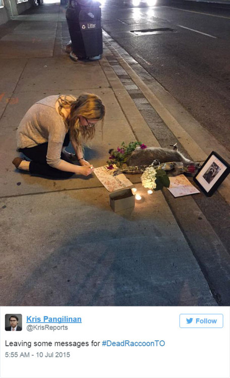 becausedragonage:  thewightknight:  People in Toronto made a memorial for a dead raccoon after city forgot to pick it up for 12 hours  This is Canada. 