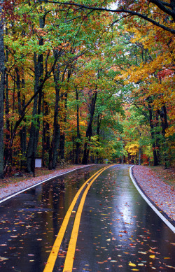son-0f-zeus:Autumn Road. by BamaWester 