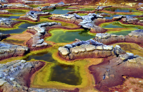 nubbsgalore: the alien like landscape of the ethiopian dallol hydrothermal field - a vast area of up