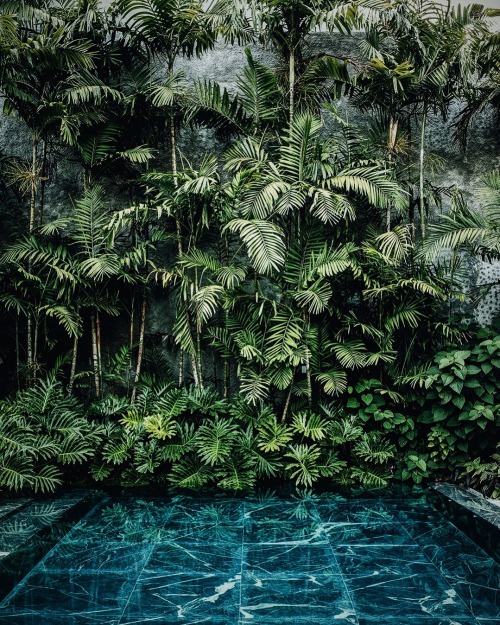 just-good-design: Adriana Varejao’s home  Photo @stefanruizphoto
