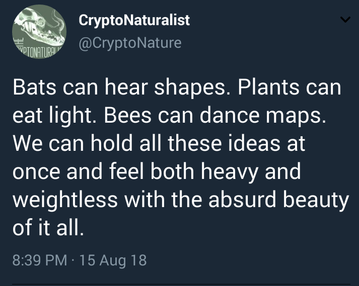diaryofandnwoman: