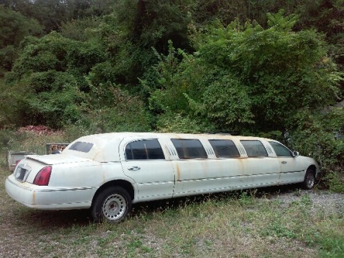 File Under: With any Luck We will Find this Limousine rumored to have been abandoned in the hills ov