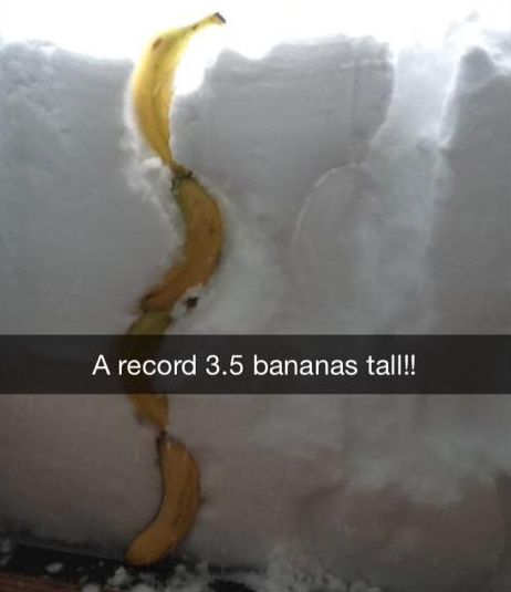 unchange:  truezodiacfact:  Only reasonable way to measure snow   bananas do not