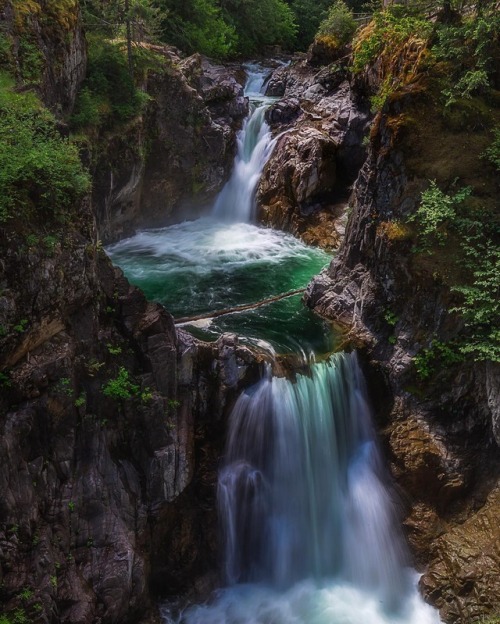 quiet-nymph:By Rachel - Astralis Photography