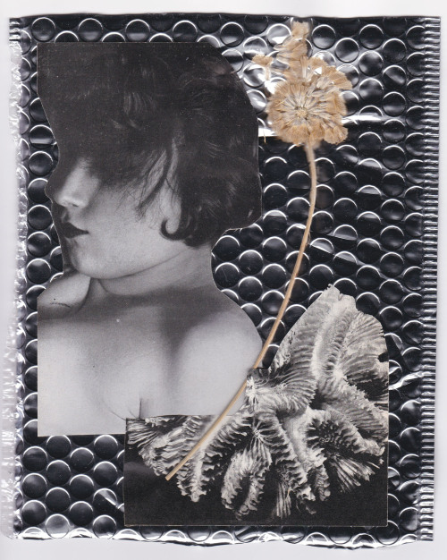 claire-salome-migeon:  Sleeping flower, collage,