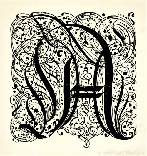 Typography TuesdayHere are some fancy, schmancy wood-engraved initials from our recent acquisition, 