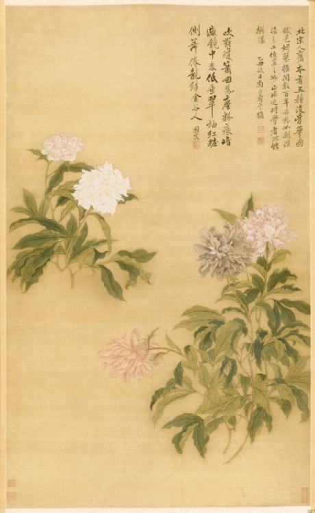 Peonies, Yun Shouping, 1685, Cleveland Museum of Art: Chinese ArtSize: Image: 118.4 x 71.8 cm (46 5/