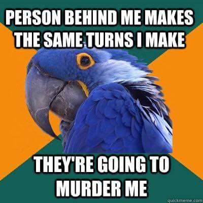 jackiereblogsthis: garbagepossum:  ithelpstodream:  paranoid parrot  Holy shit I normally ignore these memes but I literally do all of these things. The fact that this parrot knows me is making me nervous.  I’m a fucking paranoid parrot. 