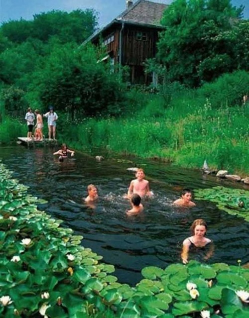 toxic-vermillion: waywardequestrian:  fromageinterrupted:  richsweettree:  sixpenceee:  Natural swimming pools are made of aquatic plants and naturally occurring bacteria that not only filter the water, they also contribute to the landscaping. (Source)