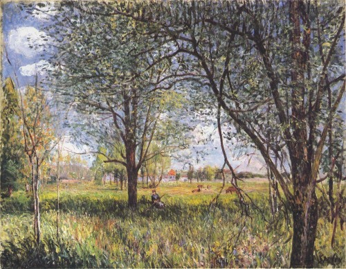 Willows in a field afternoon, Alfred SisleyMedium: oil,canvas