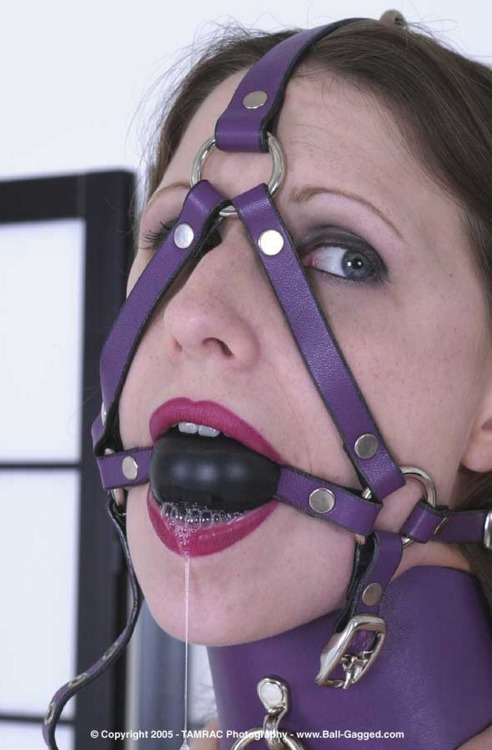 Porn Pics Bondage, lingerie and gagged HD / HQ