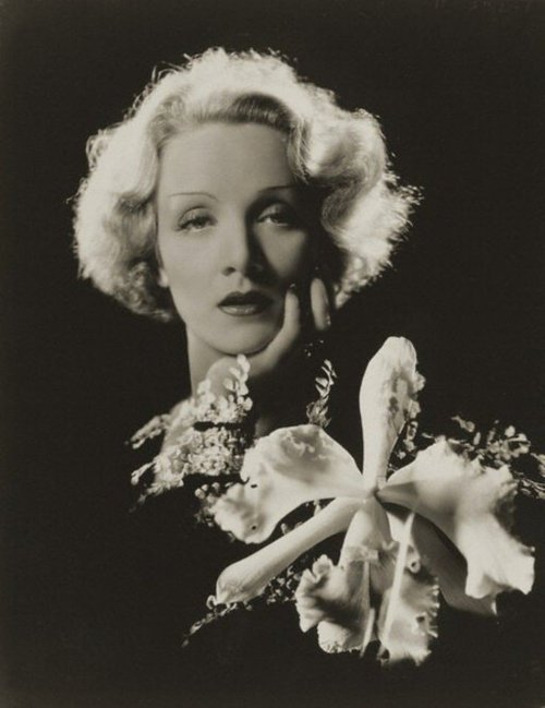 covergirlsanddancingcavaliers: Marlene Dietrich photographed by Cecil Beaton in 1932“Beaton ch