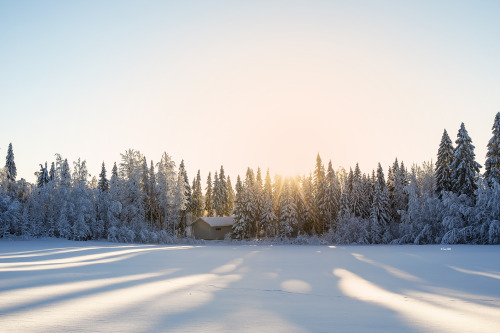 Our honeymoon in Finnish lapland. &lt;3