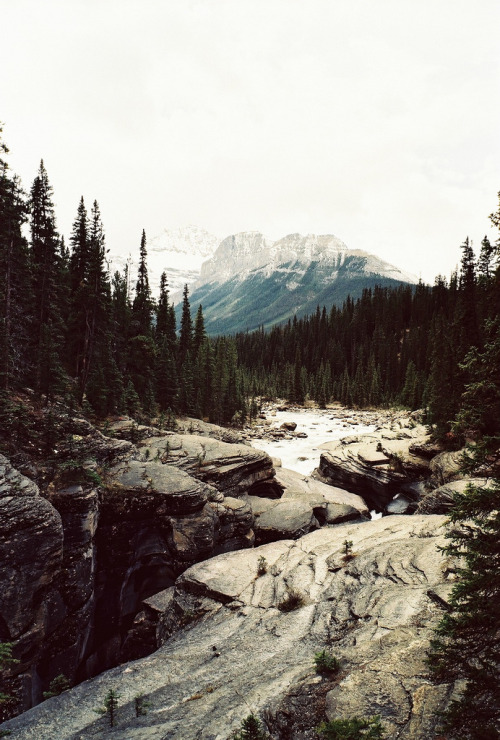 asimplekindofperson:Quality Vintage/Nature Blog :) 