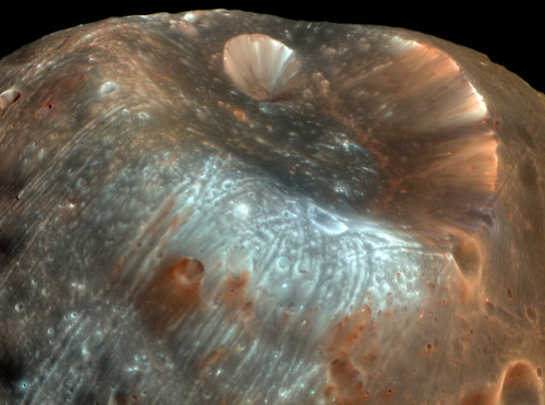 The large impact crater known as Stickney is the largest crater on the Martian moon Phobos. Credit: 