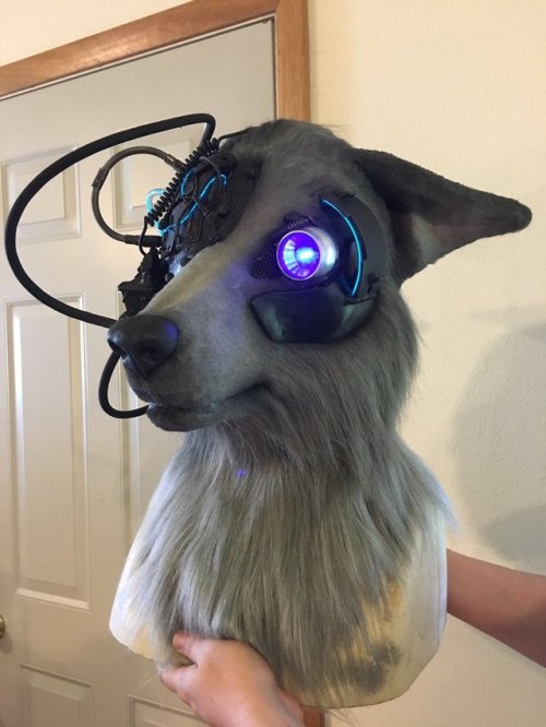 Locutus of Bork by Mithacal CreaturesTwitter sourceAKA Example #3753239832 why fursuits are fucking awesome :O