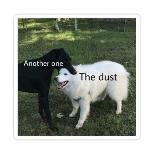 Day 8 Of Posting Memes Because I'm Bored And Have A Ton (I'm Really Bad At This)