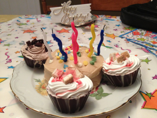 January 26- third birthday with the fam jam and blizzard cup cakes