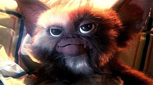 xavirdolan:GIZMO in Gremlins (1984)