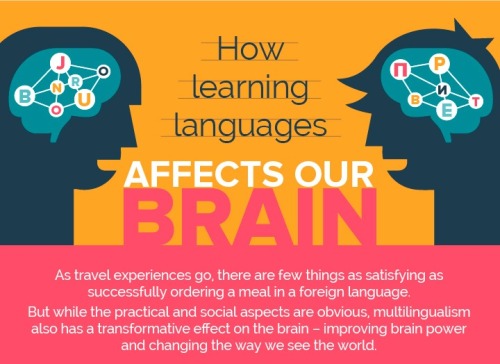 alexib224: awake-society: How learning languages affects our brain Source: Neomam Very interesting