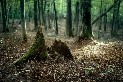 Kitashitara District / Aichi Prefecture by sf1003！ on Flickr.