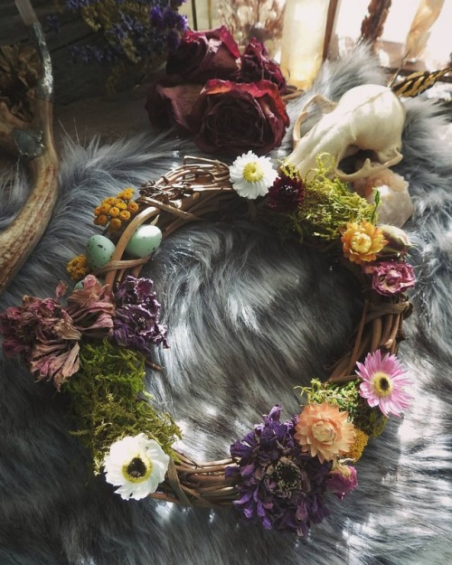 sylvandreamdesigns: A little peak of an Ostara inspired botanical wreath that will be available this