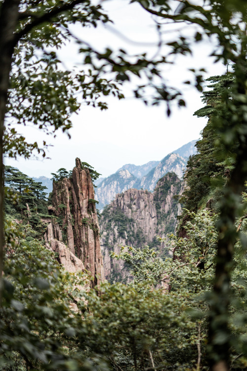 weekend trip from shanghai to huangshan:we took the yuping (jade screen) cable car up to the essenti