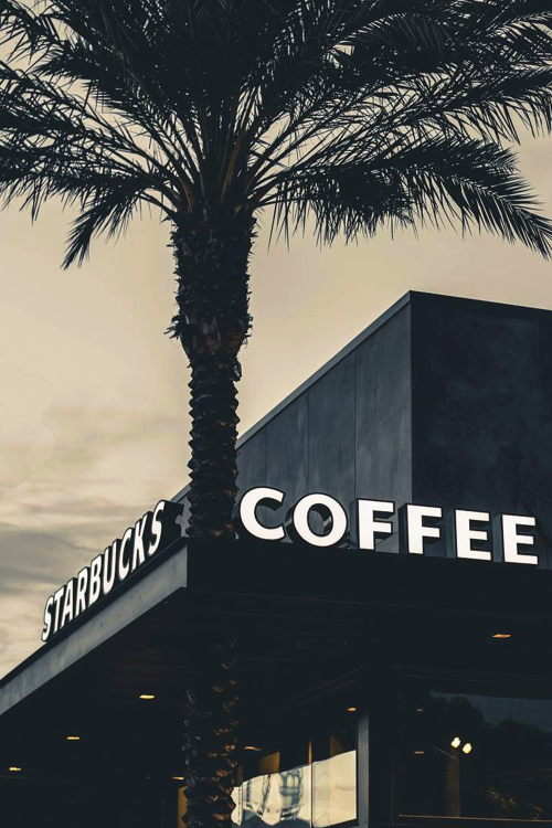 vxpo:Starbucks Coffee by Devin Noh | Vanity-Exposition