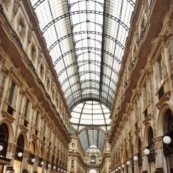 heartyblogger:  Enjoying Milan so much. The