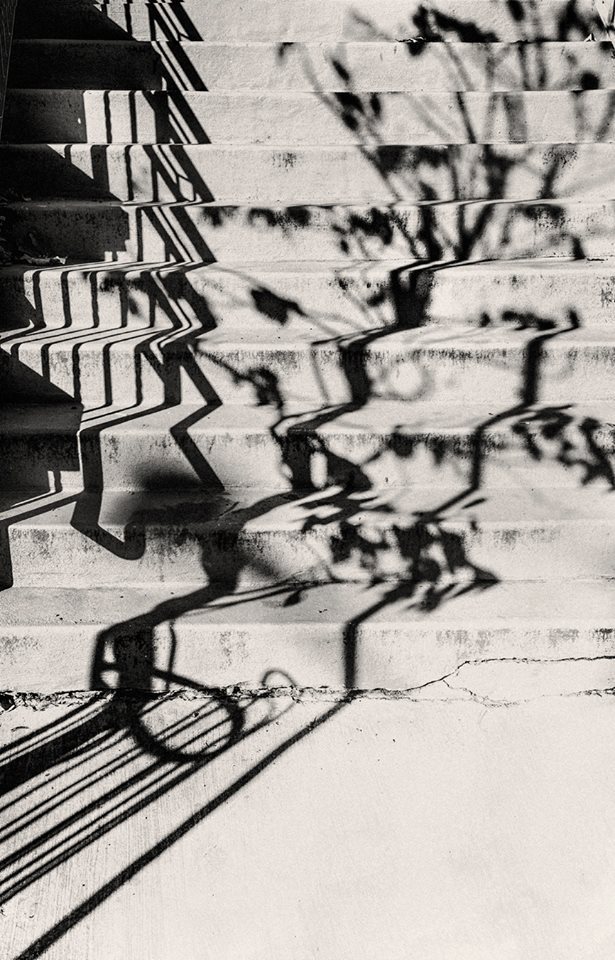 gacougnol: Sasa Gyoker