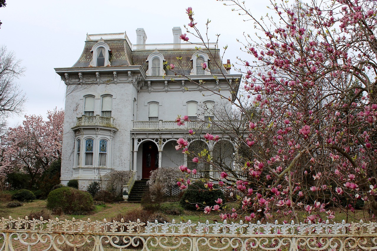 clavicle-moundshroud:Riverlore