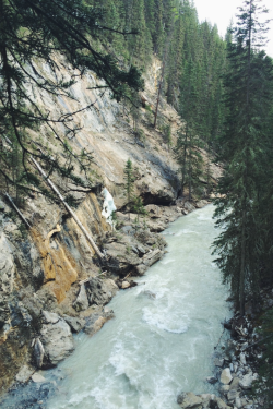 theencompassingworld:  expressions-of-nature:  Johnston Canyon, Canada by Tiffany Siu  The World Around Us