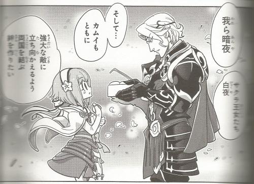 gangstapantsu: snipergys: Fire Emblem Fates Royal Family Anthology From a chapter in which Xander tr