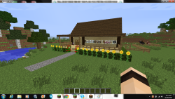 My little ranch house that I’m making