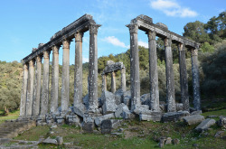 ratak-monodosico: Temple of Zeus Lepsinos  Euromos, Turkey  2nd century CE The temple was built on the site of an earlier Carian temple during the reign of the emperor Hadrian. It is one of the best preserved classical temples in Turkey: sixteen columns