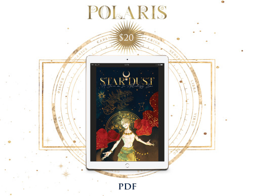 ✨Bundle Spotlight✨For $20, our Polaris Bundle includes a digital copy of the zine!Pre-Orders extende