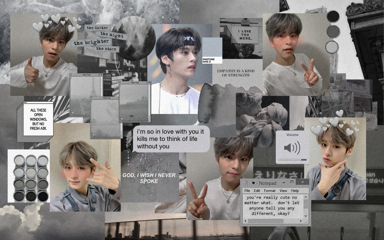 ✑ 𝑖𝑟𝑖𝑠 — Lee Know and Seungmin (Stray Kids) - grey...