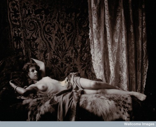 Sex nymph-du-pave:  Photograph, ca. 1910 [Wellcome pictures
