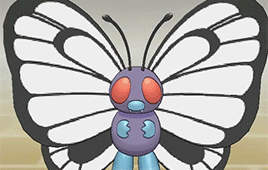 Butterfly/moth Pokemon