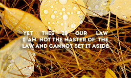 orlandobloom:Now you have come thus far, you must be brought before the Lord and the Lady. They shal