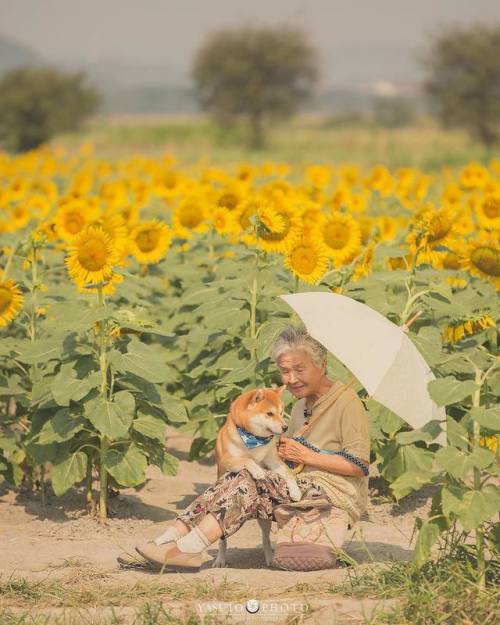 nae-design: Japanese photographer Yasuto captures his grandmother and shiba.