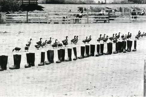 gallowhill:  Eleanor Antin  100 Boots at the Bank 100 Boots Move On 100 Boots On The March  