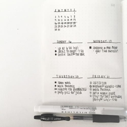 kaladistudies:| 21.07.17 11:14 | this weeks spread (insp. @productivityandcoffee ) also!! i got to s