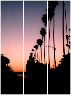 iloveeepinkk:  Pictures Iv taken… Los Angeles is such a beauty   Follow me: @iloveeepinkk