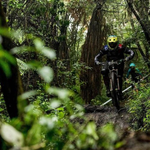 cedric-gracia:Great photo from wet EWS ROTORUA by @svenmartinphoto ! Plate TEAM HAHAHA  #fun #time #